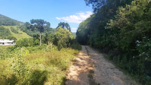 Fazenda / Sítio / Chácara com 2 Quartos à venda, 20000m² no , Águas Mornas