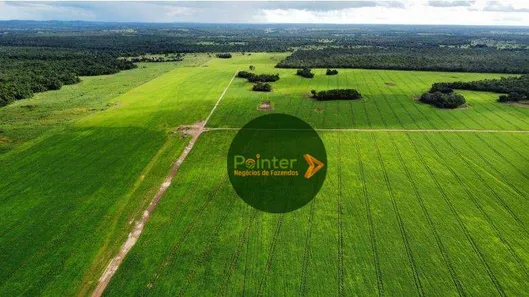 Fazenda / Sítio / Chácara à venda, 7000000m² no Setor Central, Gurupi