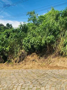 Terreno / Lote / Condomínio à venda, 449m² no Escola Agrícola, Blumenau