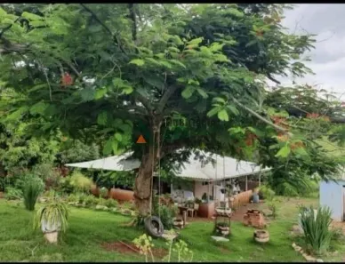 Fazenda / Sítio / Chácara à venda, 100m² no , Assaí