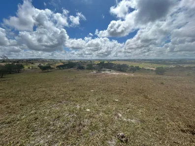Fazenda / Sítio / Chácara à venda, 230000m² no , Sairé