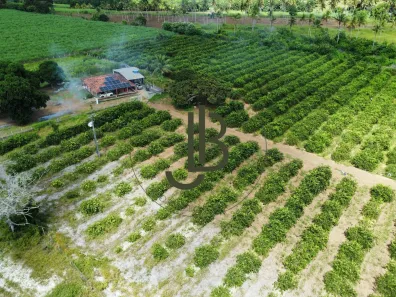 Fazenda / Sítio / Chácara com 2 Quartos à venda, 100m² no Centro, Alhandra