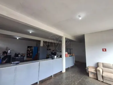 Galpão / Depósito / Armazém para alugar, 477m² no Cidade Jardim, Araraquara