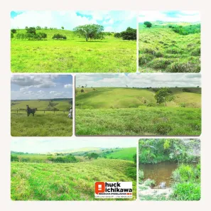 Fazenda / Sítio / Chácara à venda, 496100m² no Centro, Nossa Senhora das Dores