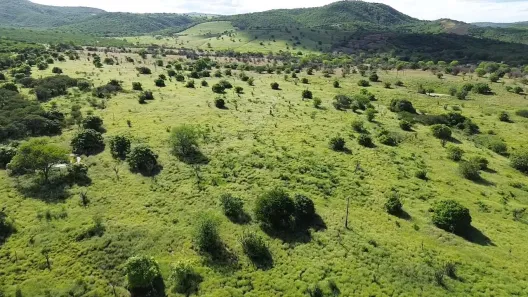 Fazenda / Sítio / Chácara à venda, 2180000m² no Área Rural de Gravatá, Gravatá