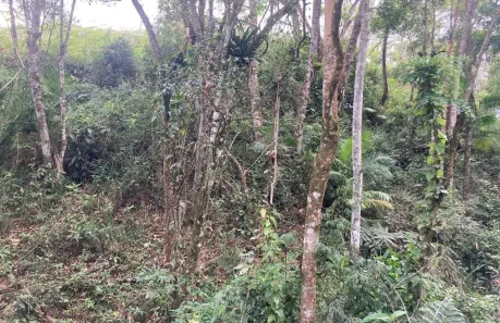 Terreno / Lote / Condomínio à venda, 4000m² no São João Batista, São João Batista