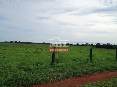 Fazenda / Sítio / Chácara à venda, 500m² no , Formoso do Araguaia