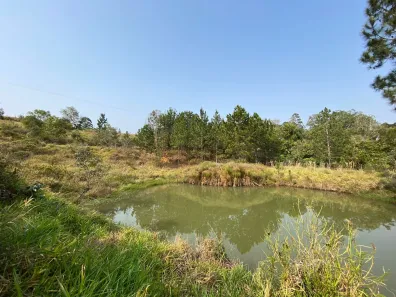 Fazenda / Sítio / Chácara à venda, 2m² no , Sarapuí