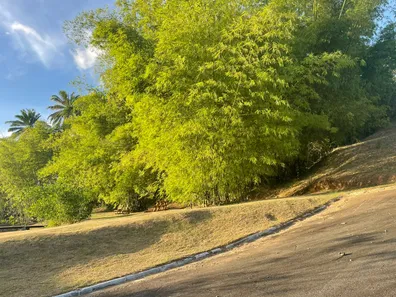 Terreno / Lote / Condomínio à venda, 435m² no Catu de Abrantes (Abrantes), Camaçari