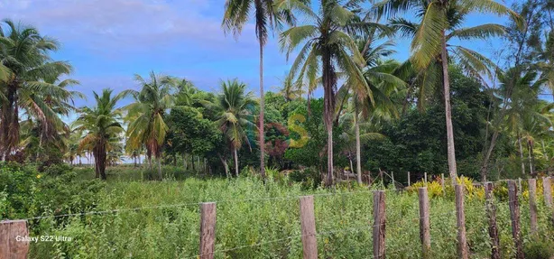 Terreno / Lote / Condomínio à venda, 8500m² no Canavieiras, Canavieiras