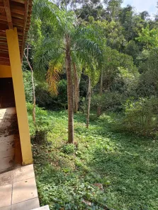 Fazenda / Sítio / Chácara com 3 Quartos à venda, 5000m² no Centro, São Lourenço da Serra