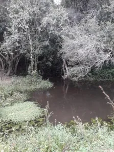 Fazenda / Sítio / Chácara à venda, 106747m² no Arroio do Só, Santa Maria