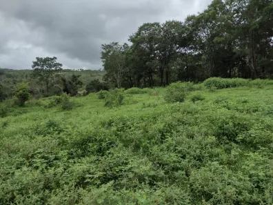 Terreno / Lote / Condomínio à venda, 20000m² no Zona Rural, Fortuna de Minas
