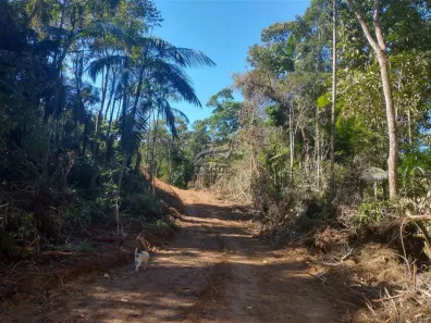 Terreno / Lote / Condomínio à venda, 44463m² no , São Pedro de Alcântara