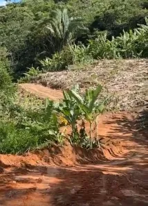 Terreno / Lote / Condomínio à venda, 85m² no , Pacoti
