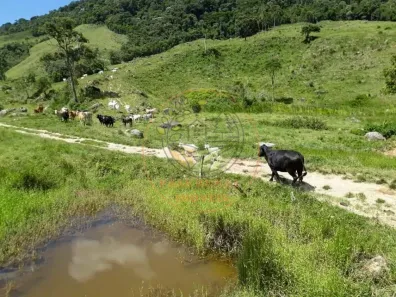Fazenda / Sítio / Chácara com 2 Quartos à venda, 25m² no Centro, Macaé