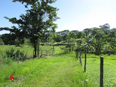Fazenda / Sítio / Chácara com 4 Quartos à venda, 242000m² no Maraporã, Cachoeiras de Macacu