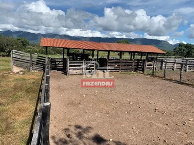 Fazenda / Sítio / Chácara à venda, 500m² no , Paranã
