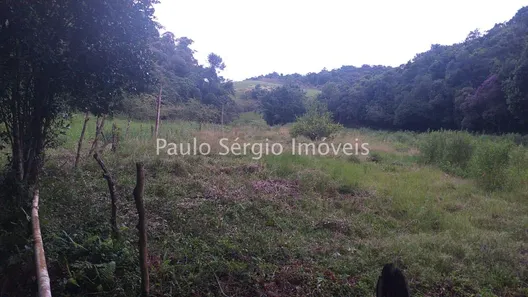 Fazenda / Sítio / Chácara com 4 Quartos à venda, 871200m² no Maraporã, Cachoeiras de Macacu