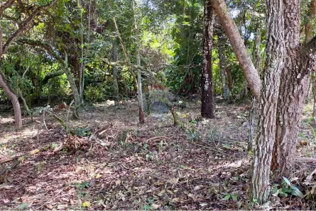 Terreno / Lote / Condomínio à venda, 2187m² no Setor Habitacional Tororó, Brasília