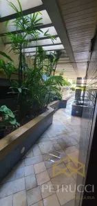 Flat com 1 Quarto para venda ou aluguel, 71m² no Cambuí, Campinas