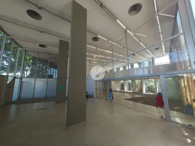 Prédio Inteiro para alugar, 850m² no Jardim Paulistano, Ribeirão Preto