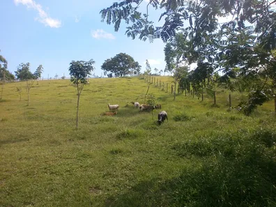 Fazenda / Sítio / Chácara à venda, 14700m² no Centro, Tanguá