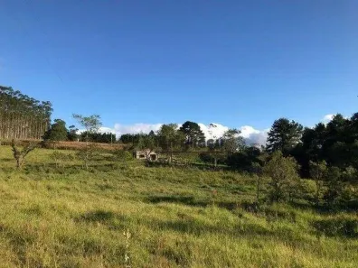 Fazenda / Sítio / Chácara à venda, 91960m² no , Pilar do Sul