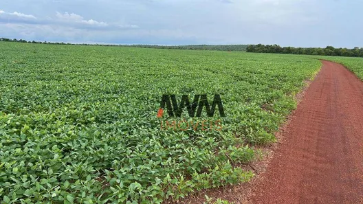 Fazenda / Sítio / Chácara à venda, 24829200m² no , Pedro Afonso