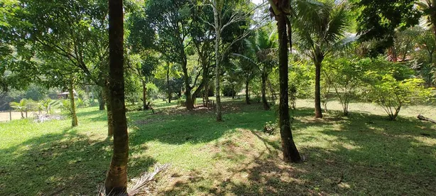 Fazenda / Sítio / Chácara com 2 Quartos à venda, 22000m² no Nossa Senhora do Amparo, Barra Mansa