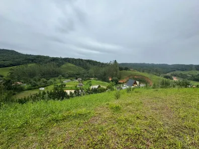 Terreno / Lote / Condomínio à venda, 1500m² no , São Pedro de Alcântara