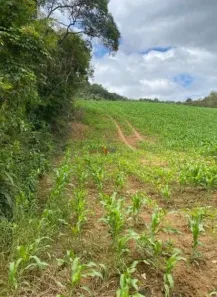 Fazenda / Sítio / Chácara com 1 Quarto à venda, 94682m² no , Tijucas do Sul