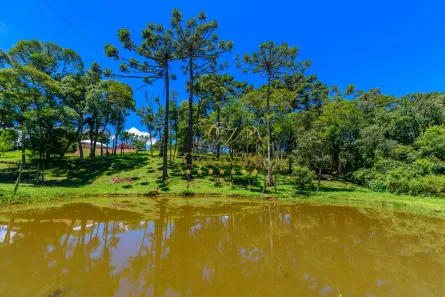 Fazenda / Sítio / Chácara com 2 Quartos à venda, 15000m² no Palmitalzinho, Quatro Barras