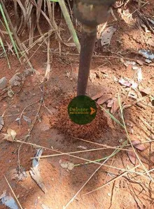 Fazenda / Sítio / Chácara à venda, 4900500m² no , Ponte Alta do Tocantins