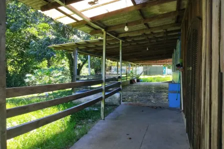 Fazenda / Sítio / Chácara com 5 Quartos à venda, 192m² no , Antonina