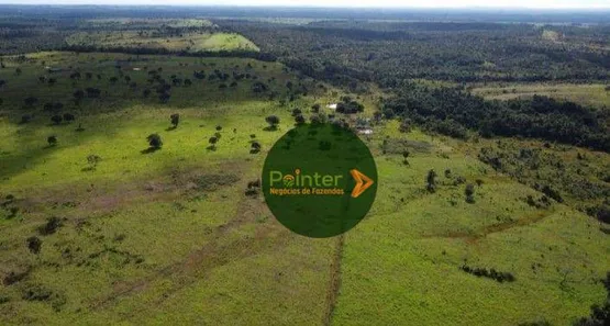 Fazenda / Sítio / Chácara à venda, 10009120m² no Vila Oeste, Paraíso do Tocantins