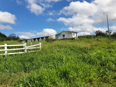 Fazenda / Sítio / Chácara com 3 Quartos à venda, 3100m² no , Passira