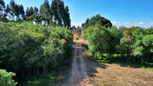 Fazenda / Sítio / Chácara com 1 Quarto à venda, 36000m² no Eucaliptos, Fazenda Rio Grande