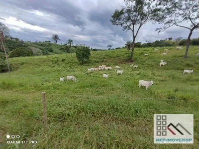 Fazenda / Sítio / Chácara à venda, 500m² no , Padre Bernardo