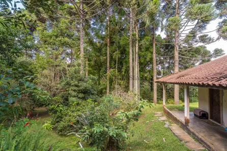 Fazenda / Sítio / Chácara com 3 Quartos à venda, 100m² no Parque das Nascentes, Pinhais
