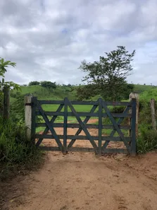 Fazenda / Sítio / Chácara à venda, 1050000m² no , São José da Laje