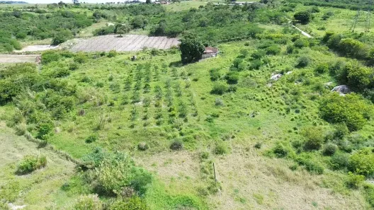 Fazenda / Sítio / Chácara à venda, 30000m² no , Sairé