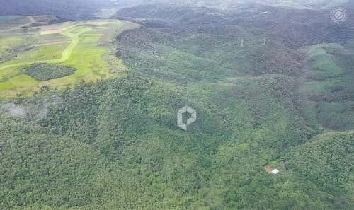 Terreno / Lote / Condomínio à venda, 22003m² no São Luiz do Purunã, Balsa Nova