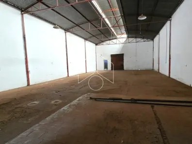 Galpão / Depósito / Armazém à venda, 350m² no Alto Cafezal, Marília