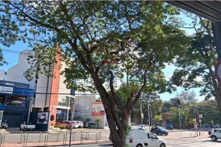 Loja / Salão / Ponto Comercial para alugar, 230m² no Centro, Bragança Paulista