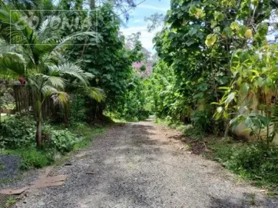 Fazenda / Sítio / Chácara com 4 Quartos à venda, 6460m² no Represa, Ribeirão Pires