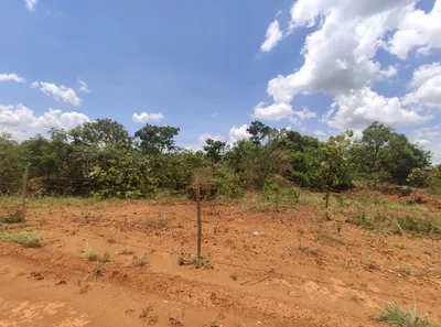 Fazenda / Sítio / Chácara à venda, 20000m² no , Brasília