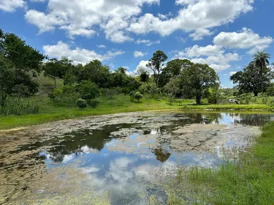 Fazenda / Sítio / Chácara com 4 Quartos à venda, 130000m² no Centro, Florestal