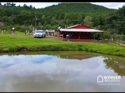 Fazenda / Sítio / Chácara com 4 Quartos à venda, 36300m² no , Guaraniaçu