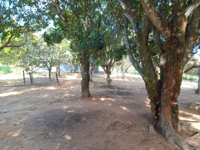 Fazenda / Sítio / Chácara com 4 Quartos à venda, 340000m² no Área Rural de Águas Lindas de Goiás, Águas Lindas de Goiás